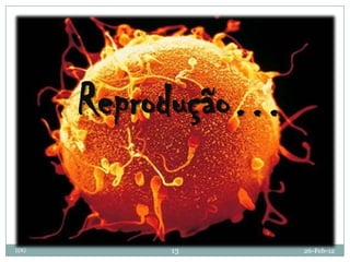 Reprodução…

IDG       13        26-Feb-12
 