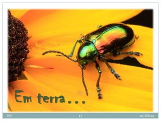 Em terra…
IDG          17   26-Feb-12
 