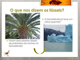 14                   26-Fev-12




     O que nos dizem os fósseis?

                                    A Gronelândia já teve um
                                     clima quente!!!




   Foram descobertos fósseis
    de palmeiras em rochas na
    Gronelândia




                                                          IDG CN 7º ano
 