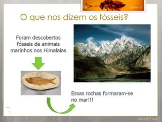 15             26-Fev-12



O que nos dizem os fósseis?




                                   IDG CN 7º ano
 
