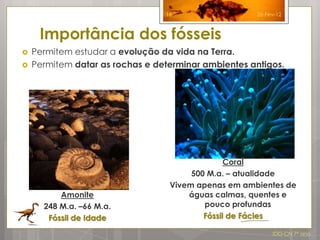 16                  26-Fev-12



     Importância dos fósseis
   Permitem estudar a evolução da vida na Terra.
   Permitem datar as rochas e determinar ambientes antigos.




                                                Coral
                                       500 M.a. – atualidade
                                  Vivem apenas em ambientes de
          Amonite                     águas calmas, quentes e
      248 M.a. –66 M.a.                   pouco profundas
       Fóssil de Idade                    Fóssil de Fácies

                                                          IDG CN 7º ano
 