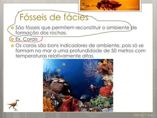 18                26-Fev-12



     Fósseis de fácies
   São fósseis que permitem reconstituir o ambiente de
    formação das rochas.
   Ex. Corais
   Os corais são bons indicadores de ambiente, pois só se
    formam no mar a uma profundidade de 50 metros com
    temperaturas relativamente altas.




                                                      IDG CN 7º ano
 