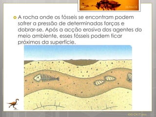 25              26-Fev-12



A rocha onde os fósseis se encontram podem
 sofrer a pressão de determinadas forças e
 dobrar-se. Após a acção erosiva dos agentes do
 meio ambiente, esses fósseis podem ficar
 próximos da superfície.




                                          IDG CN 7º ano
 