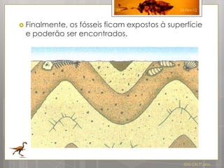 27               26-Fev-12



 Finalmente,
            os fósseis ficam expostos à superfície
 e poderão ser encontrados.




                                             IDG CN 7º ano
 