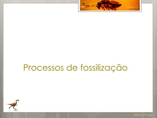 29         26-Fev-12




Processos de fossilização




                             IDG CN 7º ano
 