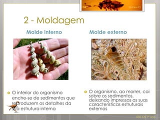 34                    26-Fev-12




        2 - Moldagem
         Molde interno                Molde externo




   O interior do organismo          O organismo, ao morrer, cai
    enche-se de sedimentos que        sobre os sedimentos,
                                      deixando impressas as suas
    reproduzem os detalhes da         características estruturais
    sua estrutura interna             externas
                                                            IDG CN 7º ano
 