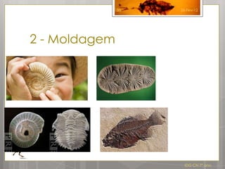 35   26-Fev-12




2 - Moldagem




                      IDG CN 7º ano
 