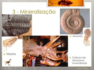 37          26-Fev-12




         3 - Mineralização



                                Amonite




   Trilobite
                                Cabeça de
                                 dinossauro
                                 mineralizada

                                     IDG CN 7º ano
 
