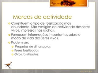40          26-Fev-12




  Marcas de actividade
 Constituem  o tipo de fossilização mais
  abundante. São vestígios da actividade dos seres
  vivos, impressos nas rochas.
 Fornecem informações importantes sobre o
  modo de vida dos seres vivos.
 Podem ser:
     Pegadas de dinossauros
    Fezes fossilizadas
    Ovos fossilizados




                                             IDG CN 7º ano
 