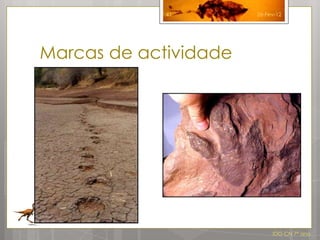 41        26-Fev-12




Marcas de actividade




                            IDG CN 7º ano
 