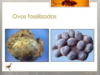 42   26-Fev-12




Ovos fossilizados




                         IDG CN 7º ano
 