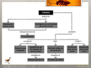 49   26-Fev-12




          IDG CN 7º ano
 