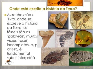 5              26-Fev-12


   Onde está escrita a história da Terra?
 As rochas são o
 "livro" onde se
 escreve a história
 da Terra; os
 fósseis são as
 "palavras", muitas
 vezes frases
 incompletas, e, p
 or isso, é
 fundamental
 saber interpretá-
 las.
                                            IDG CN 7º ano
 