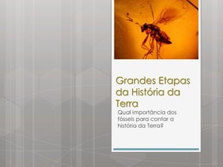 Grandes Etapas
da História da
Terra
Qual importância dos
fósseis para contar a
história da Terra?
 
