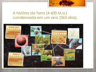 A história da Terra (4 600 M.a.)
condensada em um ano (365 dias).
 
