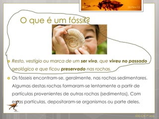 6                    26-Fev-12




       O que é um fóssil?



   Resto, vestígio ou marca de um ser vivo, que viveu no passado
    geológico e que ficou preservado nas rochas.

   Os fósseis encontram-se, geralmente, nas rochas sedimentares.
    Algumas destas rochas formaram-se lentamente a partir de
    partículas provenientes de outras rochas (sedimentos), Com
    essas partículas, depositaram-se organismos ou parte deles.


                                                              IDG CN 7º ano
 