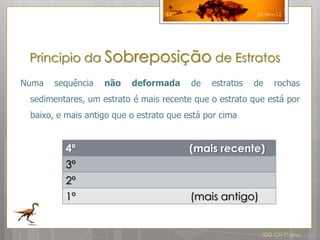 61                    26-Fev-12




 Principio da Sobreposição de Estratos
Numa   sequência   não    deformada      de   estratos   de    rochas
 sedimentares, um estrato é mais recente que o estrato que está por
 baixo, e mais antigo que o estrato que está por cima


         4º                              (mais recente)
         3º
         2º
         1º                              (mais antigo)


                                                           IDG CN 7º ano
 