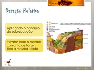 65   26-Fev-12




Datação Relativa

Aplicando o princípio
da sobreposição


Estratos com o mesmo
conjunto de fósseis
têm a mesma idade




                               IDG CN 7º ano
 