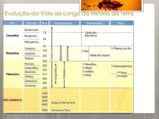 Evolução da Vida ao Longo da História da Terra
 