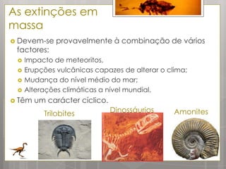 As extinções em
massa
 Devem-se    provavelmente à combinação de vários
 factores:
    Impacto de meteoritos,
    Erupções vulcânicas capazes de alterar o clima;
    Mudança do nível médio do mar;
    Alterações climáticas a nível mundial.
 Têm   um carácter cíclico.
          Trilobites           Dinossáurios     Amonites
 