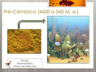 Pré-Câmbrico [4600 a 540 M. a.]




           Fósseis:
       Estromatólitos
    Fósseis de Ediacara
 