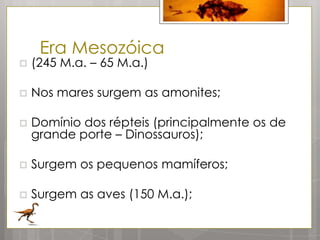 Era Mesozóica
   (245 M.a. – 65 M.a.)

   Nos mares surgem as amonites;

   Domínio dos répteis (principalmente os de
    grande porte – Dinossauros);

   Surgem os pequenos mamíferos;

   Surgem as aves (150 M.a.);
 