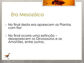 Era Mesozóica

   No final desta era aparecem as Plantas
    com flor;

   No final ocorre uma extinção –
    desaparecem os Dinossauros e as
    Amonites, entre outros.
 