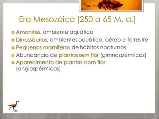 Era Mesozóica [250 a 65 M. a.]
 Amonites, ambiente aquático
 Dinossáurios, ambientes aquático, aéreo e terrestre
 Pequenos mamíferos de hábitos nocturnos
 Abundância de plantas sem flor (gimnospérmicas)
 Aparecimento de plantas com flor
  (angiospérmicas)
 