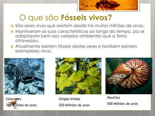 9                26-Fev-12



        O que são Fósseis vivos?
     São seres vivos que existem desde há muitos milhões de anos.
     Mantiveram as suas características ao longo do tempo, pq se
      adaptaram bem aos variados ambientes que a Terra
      atravessou.
     Atualmente existem fósseis destes seres e também existem
      exemplares vivos.




Celacanto                 Gingko biloba         Nautilus

380 Milhões de anos       250 Milhões de anos   500 Milhões de anos
 