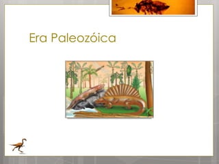 Era Paleozóica
 