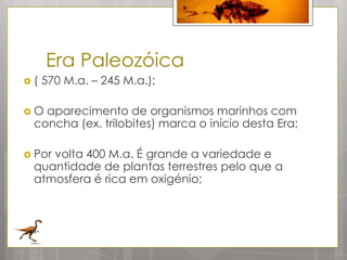 Era Paleozóica
(   570 M.a. – 245 M.a.);

O aparecimento de organismos marinhos com
 concha (ex. trilobites) marca o início desta Era;

 Por
    volta 400 M.a. É grande a variedade e
 quantidade de plantas terrestres pelo que a
 atmosfera é rica em oxigénio;
 