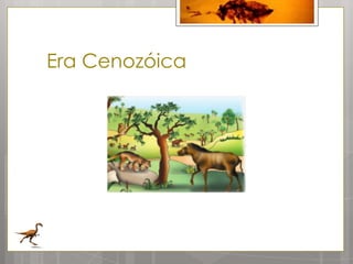Era Cenozóica
 