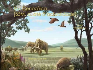 Era Cenozóica
[65M. a. até à actualidade]

                           Aves
                         Mamíferos




      Plantas com flor
 