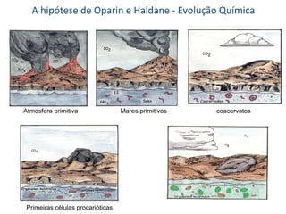 coacervatos
Primeiras células procarióticas
Atmosfera primitiva Mares primitivos
A hipótese de Oparin e Haldane - Evolução Química
 