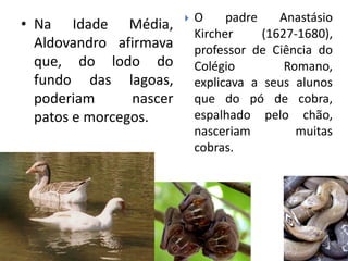 • Na Idade Média,
Aldovandro afirmava
que, do lodo do
fundo das lagoas,
poderiam nascer
patos e morcegos.
 O padre Anastásio
Kircher (1627-1680),
professor de Ciência do
Colégio Romano,
explicava a seus alunos
que do pó de cobra,
espalhado pelo chão,
nasceriam muitas
cobras.
 