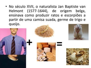 • No século XVII, o naturalista Jan Baptiste van
Helmont (1577-1644), de origem belga,
ensinava como produzir ratos e escorpiões a
partir de uma camisa suada, germe de trigo e
queijo.
+ =
 