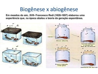 Biogênese x abiogênese
Em meados do séc. XVII- Francesco Redi (1626-1697) elaborou uma
experiência que, na época abalou a teoria da geração espontânea.
 