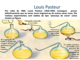 Louis Pasteur
Por volta de 1860, Louis Pasteur (1822-1895) conseguiu provar
definitivamente que os seres vivos originam-se de outros seres vivos. Ele
realizou experimentos com balões do tipo “pescoço de cisne” como
mostra na figura:
1
3
2
 