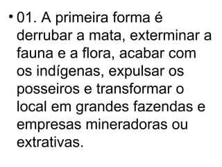 01. A primeira forma é derrubar a mata, exterminar a fauna e a flora, acabar com os indígenas, expulsar os posseiros e transformar o local em grandes fazendas e empresas mineradoras ou extrativas. 