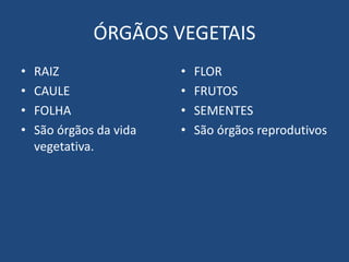 ÓRGÃOS VEGETAIS
• RAIZ
• CAULE
• FOLHA
• São órgãos da vida
vegetativa.
• FLOR
• FRUTOS
• SEMENTES
• São órgãos reprodutivos
 