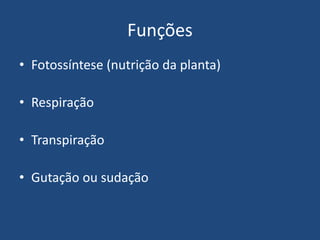 Funções
• Fotossíntese (nutrição da planta)
• Respiração
• Transpiração
• Gutação ou sudação
 