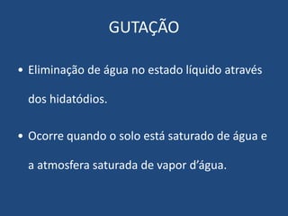 GUTAÇÃO
• Eliminação de água no estado líquido através
dos hidatódios.
• Ocorre quando o solo está saturado de água e
a atmosfera saturada de vapor d’água.
 