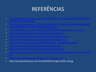 REFERÊNCIAS
• http://www.mundoeducacao.com.br/upload/conteudo_legenda/19e097d16d11c4
27659e7355ee091df7.jpg
• http://1.bp.blogspot.com/_NupbWI2XxeA/Red2IDUfAWI/AAAAAAAAAE8/GNetBM
k-lXo/s400/0810.%2520Raiz%2520ramificada.jpg
• http://thales.cica.es/rd/Recursos/rd99/ed99-0574-02/partes_de_la_raiz.jpg
• http://www.sobiologia.com.br/figuras/Reinos4/raiz.jpg
• http://www.brasilescola.com/upload/e/Raiz%20suporte.jpg
• http://www.brasilescola.com/upload/e/raiz%20tabular.jpg
• http://farm3.static.flickr.com/2270/2396624655_2681d8168e.jpg?v=0
• http://static.hsw.com.br/gif/rainforest-epiphyte2.jpg
• http://www.brasilescola.com/upload/e/beterraba(1).jpg
• http://www.editorasaraiva.com.br/eddid/CIENCIAS/explorando/6_forma_funcao.h
tml
• http://www.nucleodeaprendizagem.com.br/tronco.jpg
• http://portalsaofrancisco.com.br/alfa/folha/imagens/folha-36.jpg
 