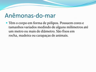 Anêmonas-do-mar
 Têm o corpo em forma de pólipos. Possuem cores e
 tamanhos variados medindo de alguns milímetros até
 um metro ou mais de diâmetro. São fixos em
 rocha, madeira ou carapaças de animais.
 