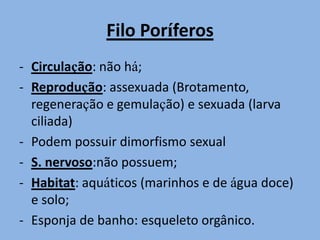 Filo Poríferos
- Circulação: não há;
- Reprodução: assexuada (Brotamento,
  regeneração e gemulação) e sexuada (larva
  ciliada)
- Podem possuir dimorfismo sexual
- S. nervoso:não possuem;
- Habitat: aquáticos (marinhos e de água doce)
  e solo;
- Esponja de banho: esqueleto orgânico.
 