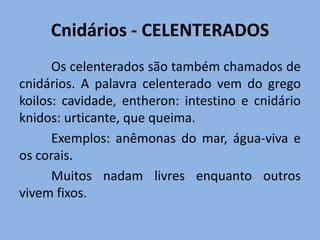 Cnidários - CELENTERADOS
      Os celenterados são também chamados de
cnidários. A palavra celenterado vem do grego
koilos: cavidade, entheron: intestino e cnidário
knidos: urticante, que queima.
      Exemplos: anêmonas do mar, água-viva e
os corais.
      Muitos nadam livres enquanto outros
vivem fixos.
 