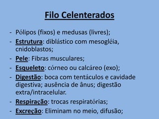 Filo Celenterados
- Pólipos (fixos) e medusas (livres);
- Estrutura: diblástico com mesogléia,
  cnidoblastos;
- Pele: Fibras musculares;
- Esqueleto: córneo ou calcáreo (exo);
- Digestão: boca com tentáculos e cavidade
  digestiva; ausência de ânus; digestão
  extra/intracelular.
- Respiração: trocas respiratórias;
- Excreção: Eliminam no meio, difusão;
 