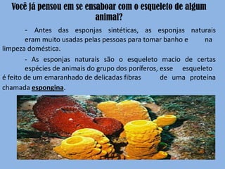 Você já pensou em se ensaboar com o esqueleto de algum
                          animal?
     - Antes das esponjas sintéticas, as esponjas naturais
        eram muito usadas pelas pessoas para tomar banho e      na
limpeza doméstica.
        - As esponjas naturais são o esqueleto macio de certas
        espécies de animais do grupo dos poríferos, esse esqueleto
é feito de um emaranhado de delicadas fibras        de uma proteína
chamada espongina.
 
