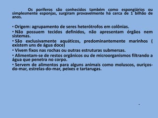 Os poríferos são conhecidos também como espongiários ou
simplesmente esponjas, surgiram provavelmente há cerca de 1 bilhão de
anos.

• Origem: agrupamento de seres heterótrofos em colônias.
• Não possuem tecidos definidos, não apresentam órgãos nem
sistemas.
• São exclusivamente aquáticos, predominantemente marinhos (
existem uns de água doce)
• Vivem fixos nas rochas ou outras estruturas submersas.
• Alimentam-se de restos orgânicos ou de microorganismos filtrando a
água que penetra no corpo.
• Servem de alimentos para alguns animais como moluscos, ouriços-
do-mar, estrelas-do-mar, peixes e tartarugas.




                                                              .
 