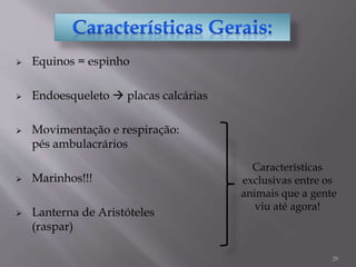 29
 Equinos = espinho
 Endoesqueleto  placas calcárias
 Movimentação e respiração:
pés ambulacrários
 Marinhos!!!
 Lanterna de Aristóteles
(raspar)
Características
exclusivas entre os
animais que a gente
viu até agora!
 